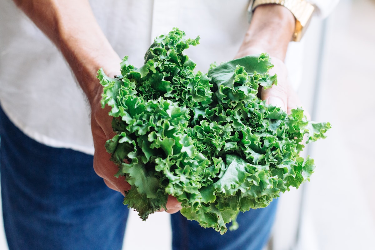 Aliments naturels riches en calcium et minéraux pour la santé osseuse